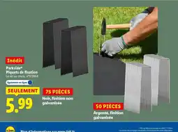 Lidl PARKSIDE Piquets de fixation offre