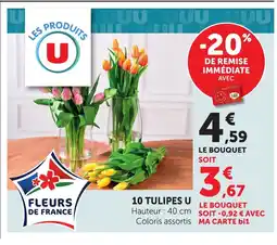 Bi1 U 10 tulipes offre