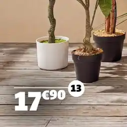 Gifi Arbre de la fortune offre
