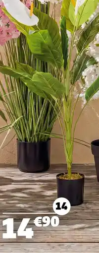 Gifi Plante artificielle spathiphyllium offre