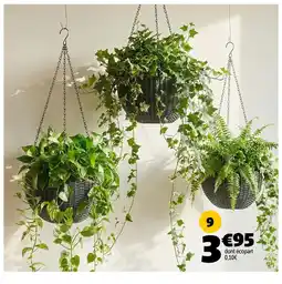 Gifi Cache-pot à suspendre offre