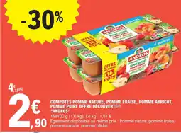 E.Leclerc Andros compotes pomme nature, pomme fraise, pomme abricot, pomme poire offre découverte offre