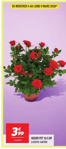 Netto Rosier pot offre