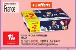 Netto YOPLAIT Skyr 0% sur lit de fruits rouges offre