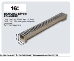 Brico Dépôt Caniveau béton polymère offre