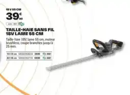 Brico Dépôt Taille-haie sans fil 18v lame offre
