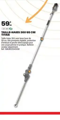 Brico Dépôt Taille-haies 36v offre