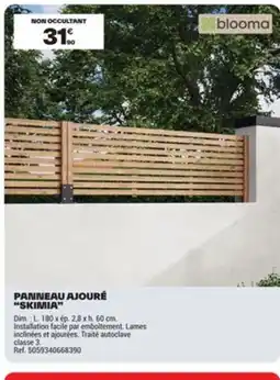 Brico Dépôt Panneau ajouré skimia offre