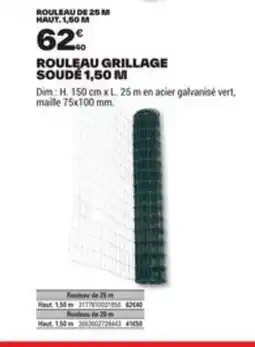 Brico Dépôt Rouleau de 25 m haut. 1,50 m offre