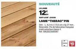 Brico Dépôt Lame therao pin offre