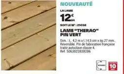 Brico Dépôt Lame therao pin vert offre