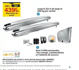 Castorama Motorisation de portail à vérins Somfy Exavia Star offre