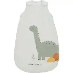 Carrefour Tex baby gigoteuse naissance 0.6 mois offre