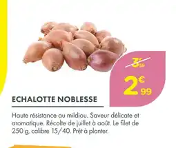 Point Vert Echalotte noblesse offre