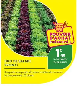 Point Vert Duo de salade promo offre