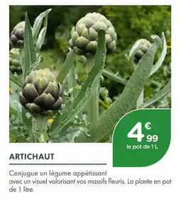 Point Vert Artichaut offre