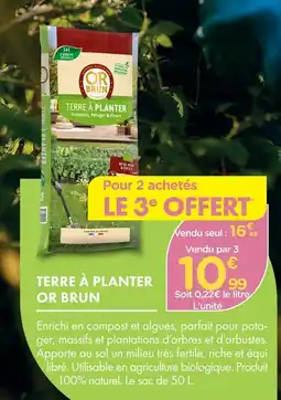 Point Vert Or brun terre à planter offre