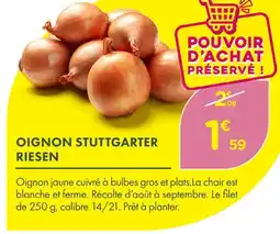 Point Vert Oignon stuttgarter riesen offre