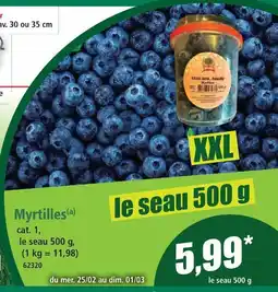 Norma Myrtilles xxl offre