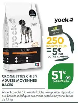 Point Vert Yock croquettes chien adulte moyennes races offre
