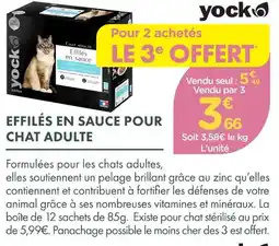 Point Vert Yock effilés en sauce pour chat adulte offre