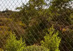 Brico Dépôt Blooma rouleau grillage simple torsion 1,5x20m offre