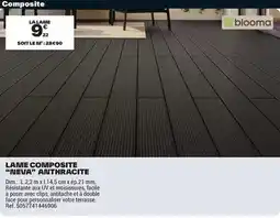 Brico Dépôt Dim - lame composite inleva anthracite offre