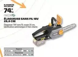 Brico Dépôt Titan - élagueuse sans fil 18v offre