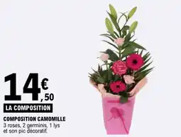 E.Leclerc Composition camomille offre