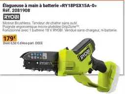 Gamm vert Ryobi - élagueuse à main à batterie offre