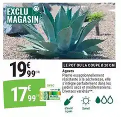 Carrefour Aerstone - single malt scotch whisky offre