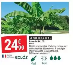 Carrefour Simply - aspirateur sac offre
