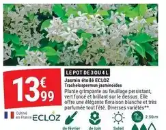 Carrefour Rowenta - aspirateur balai x-force flex 9.60 offre