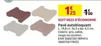 Pavé autobloquant