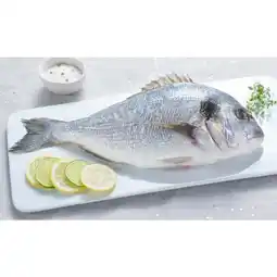 Carrefour Daurade royale offre