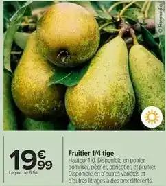 Carrefour Market Prunier - fruitier 1/4 tige offre