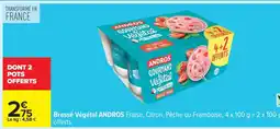 Carrefour Brassé Végétal Andros offre