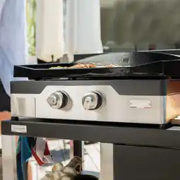 Jardiland Plancha à gaz signature allure 260 duo offre