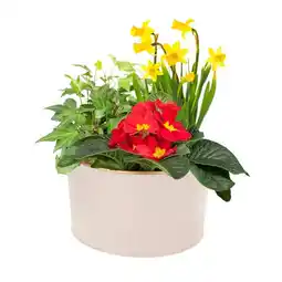 Jardiland Coupe fleurie offre