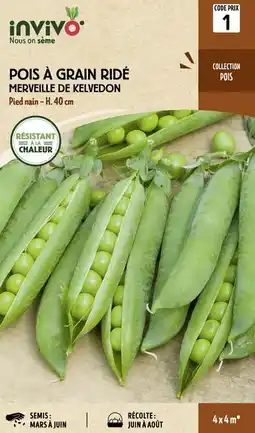 Jardiland Invivo nous on sème sélection pois & fève invivo nous on sème offre