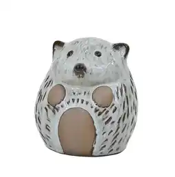 Jardiland Ecloz hérisson décoratif ecloz offre