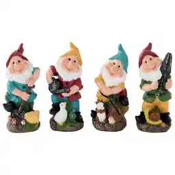 Jardiland Nains de jardin outils offre