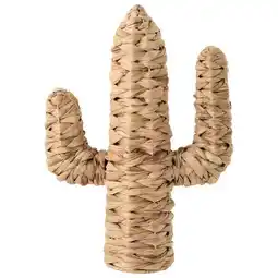 Jardiland Cactus décoratif offre