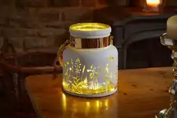 Jardiland Lanterne meadow offre