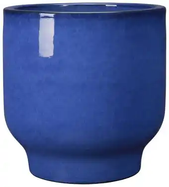 Ecloz pot moonlight ecloz