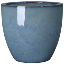 Jardiland Ecloz pot amazonia ecloz offre