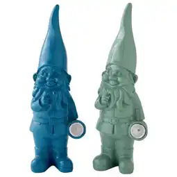 Jardiland Nain de jardin solaire offre