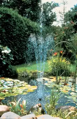 Jardiland Pompe xtra 900 ubbink offre