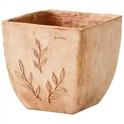 Jardiland Ecloz pot carré amano ecloz offre