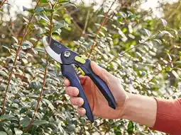 Jardiland Ecloz sécateur à ouverture variable ecloz offre